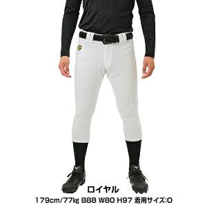交換往復送料無料 野球 ユニフォームパンツ デ...の詳細画像3