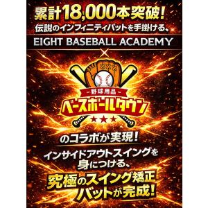 野球 インフィニティバット・ミニ 木製バット ...の詳細画像1