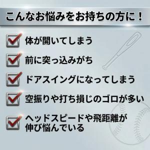 野球 インフィニティバット・ミニ 木製バット ...の詳細画像2