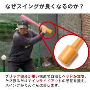 野球 インフィニティバット・ミニ 木製バット ...の詳細画像4