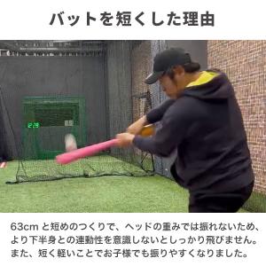 野球 インフィニティバット・ミニ 木製バット ...の詳細画像5
