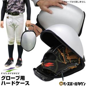 野球 グローブ用ハードケース 限定カラー シルバー グラブケア