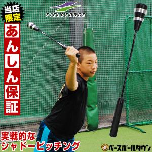 野球 6ヶ月保証 投球練習 シャドーインナーロッド