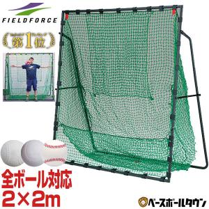 野球 バッティングネット 硬式 軟式 ソフト対応 2×2m ターゲット・収納バッグ付き FBN-2020H2 フィールドフォース