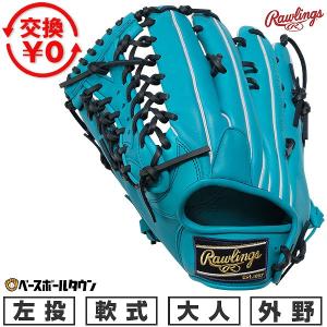 ワールドペガサス（WORLD PEGASUS） グローブ 大人 一般 Worldpegasus