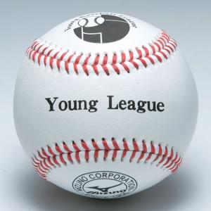 21新作 のミズノ ボール 野球 少年硬式用試合球 1ダース ヤングリーグ 1bjbl710 取寄 少年用 ジュニア 注目の福袋 の