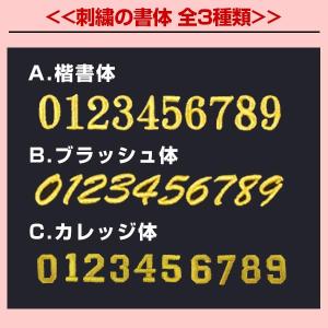 文字刺繍代金込みミズノプロ MIZUNO PR...の詳細画像5