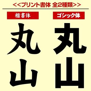 名前入り 選べる3タイプ 野球 少年用 ユニフ...の詳細画像4