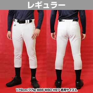 交換無料 野球 SSK 練習着パンツ レギュラ...の詳細画像3