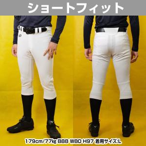 交換無料 野球 SSK 練習着パンツ レギュラ...の詳細画像5