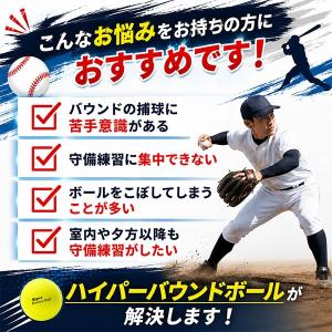 365日出荷 レビューで6ヶ月保証 野球 練習...の詳細画像2