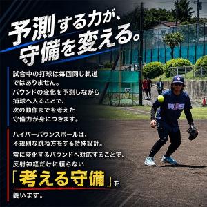 365日出荷 レビューで6ヶ月保証 野球 練習...の詳細画像3