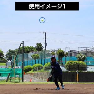 365日出荷 レビューで6ヶ月保証 野球 練習...の詳細画像5