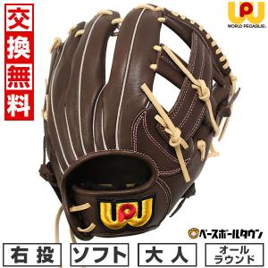 交換無料 ソフトボール グローブ 大人 ワールドペガサス エディット オールラウンド用 右投用 サイズ9 WGS5ED5 型付け可能(G) 軟式使用可能