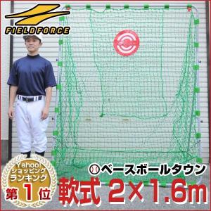 野球 バッティングネット 軟式用 2×1.6m ターゲット・ペグ付 打撃 練習用品 FBN-2016N2 フィールドフォース