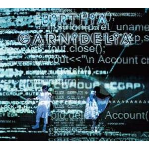 BiRTHiA(初回生産限定盤)(DVD付) [CD] GARNiDELiA