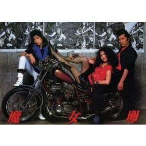 映画パンフレットレット「魔女卵」監督和泉聖治 出演渡辺祐子