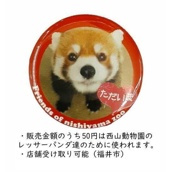 レッサーパンダ マグネット 「ただいま」 直径約3cm 鯖江市 西山動物園 友の会