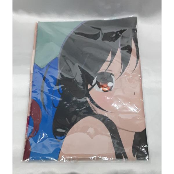 黒雪姫 ニコ パド アニメイラスト描き下ろし 水着 B2布ポスター アクセル・ワールド インフィニッ...