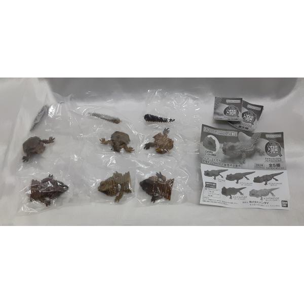 アルマジロトカゲとフトアゴヒゲトカゲ 3種セット レア いきもの大図鑑レプティ フィギュア カプセル...