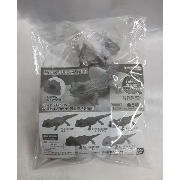 アルマジロトカゲとフトアゴヒゲトカゲ 全5種セット いきもの大図鑑レプティ フィギュア カプセルトイ...