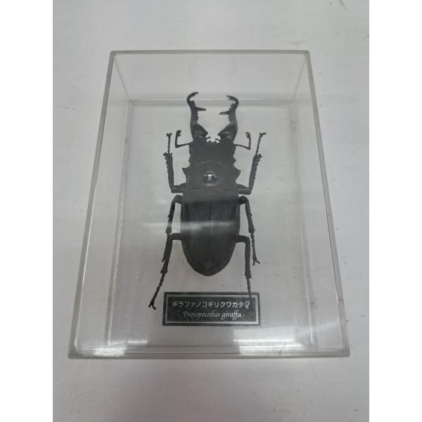 ギラファノコギリクワガタ 世界の昆虫フィギュア Deagostini デアゴスティーニ　