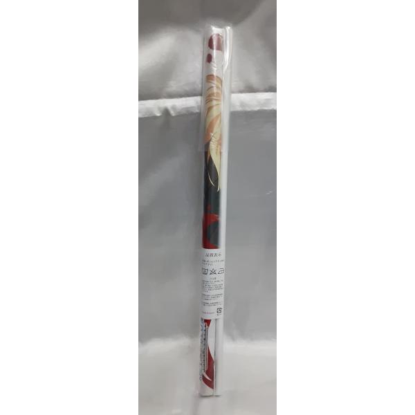 アルクェイド＆遠野秋葉 武内崇描き下ろしオリジナルイラストB2タペストリー メルティブラッド MEL...