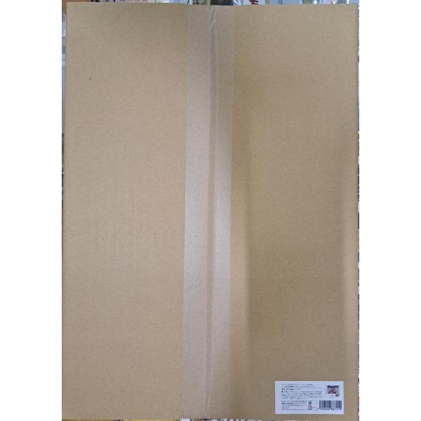 ピロ水先生 直筆サイン入り プレミアムアクリルキャンバスアート 華実&amp; 結灯 (裏表ガールズ) はに...