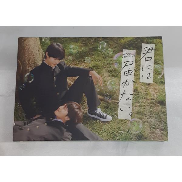 君には届かない。 DVD-BOX 初回版 限定版 ドラマストリーム オリジナルフォンタブ付き