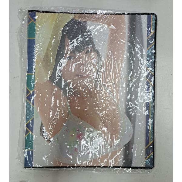 桜井木穂 Vol.2 トレーディングカード専用バインダー 桜井木穂 キャンペーン応募景品