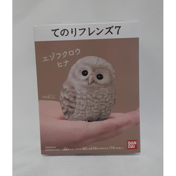 エゾフクロウヒナ 1 てのりフレンズ7 未開封