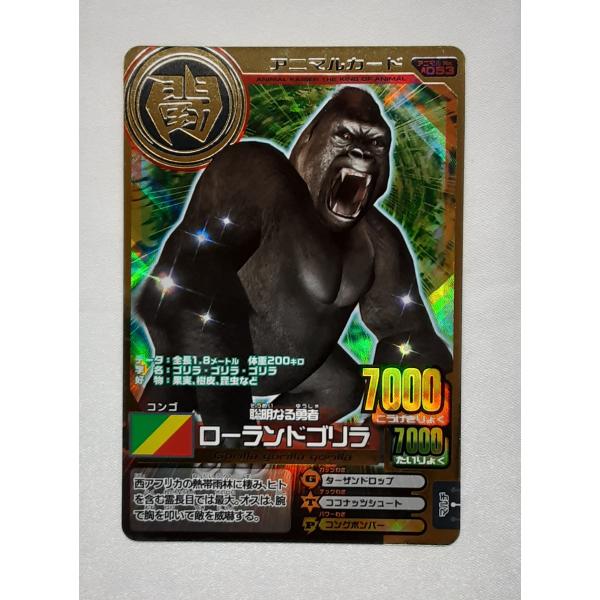 ローランドゴリラ A-053 第4弾 アニマルカイザー