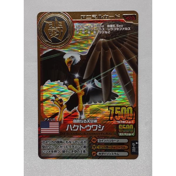 ハクトウワシ A-003 アニマルカイザー