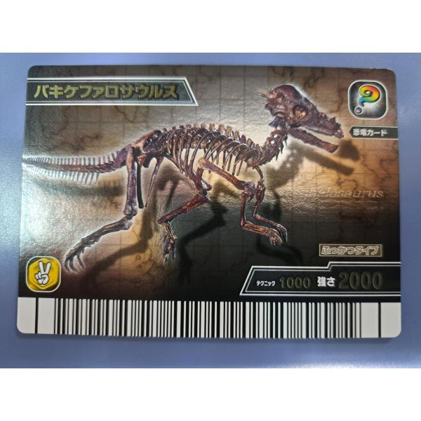 パキケファロサウルス 化石 KS023-竜 恐竜キング