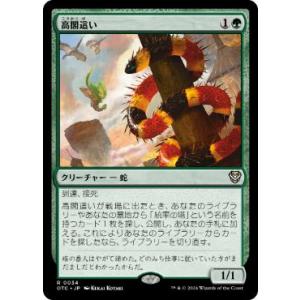 MTG 高閣這い R0070 日本語 サンダージャンクションの無法者