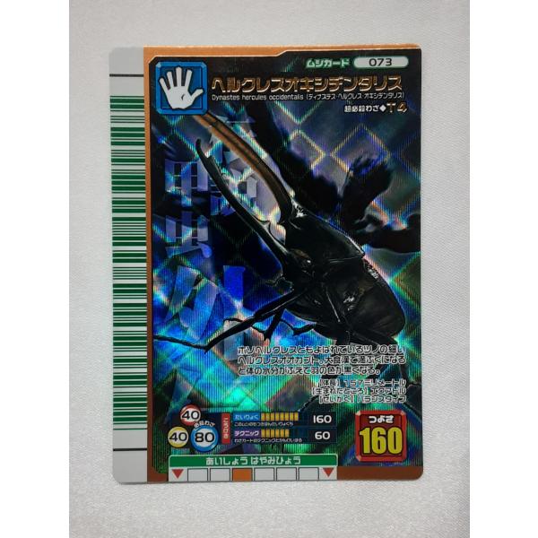 ヘルクレスオキシデンタリス 073 2007ファースト