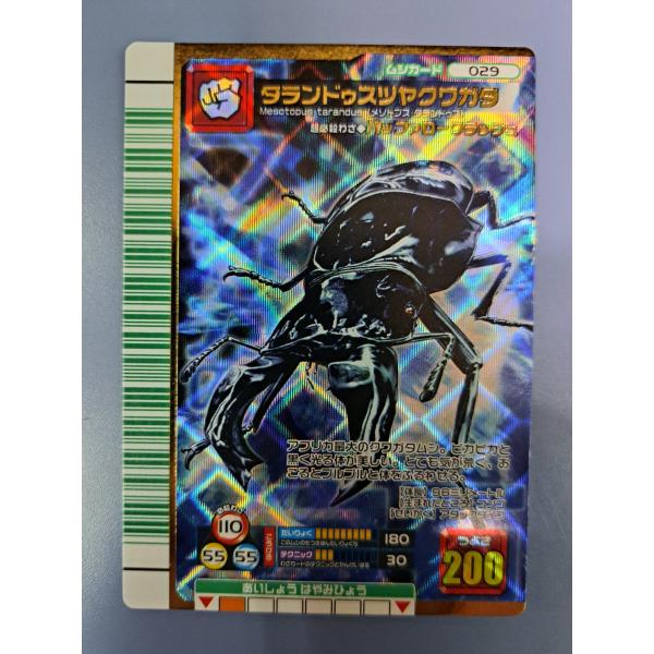 タランドゥスツヤクワガタ 2007ファースト 029 ムシキング