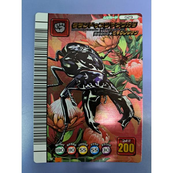 タランドゥスツヤクワガタ 5周年コレクションカード第1弾 029 ムシキング