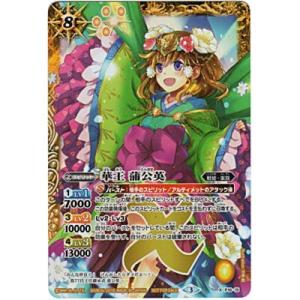 華王 蒲公英[X P16-015]