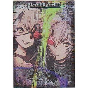 プレイヤーカード[テレーゼ＆テオ]