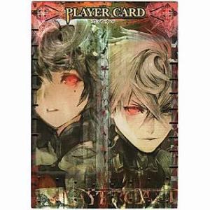 プレイヤーカード[ロケテ版／ギデオン＆アンジェラ]