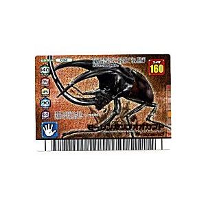 モーレンカンプオオカブト[銅レア／FG]