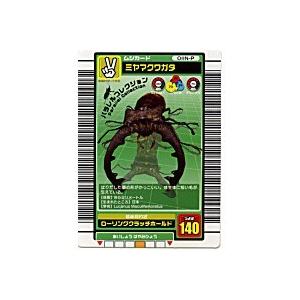 ミヤマクワガタ[パラレル／03夏]