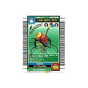 ノコギリタテヅノカブト[パラレル／03夏]※表面に線状のへこみキズが数ヶ所あり