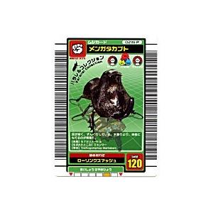 メンガタカブト[パラレル／03夏]