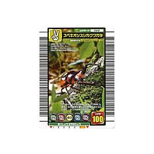 スペキオシスシカクワガタ[ノーマル／04S・Sプラス]