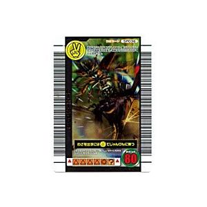 スーパーハヤブサ[SPわざ／06夏ネイチャー]