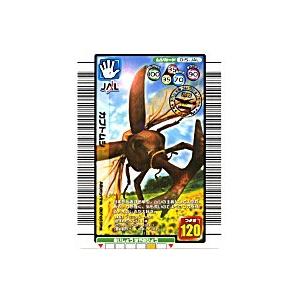 カブトムシ[JAL限定／015-JAL]