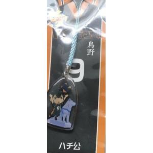 ご当地ハイキュー・北海道限定◇影山＜北海道地図＞イヤホン