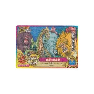 タランドゥスツヤクワガタ 5周年コレクションカード第1弾 029